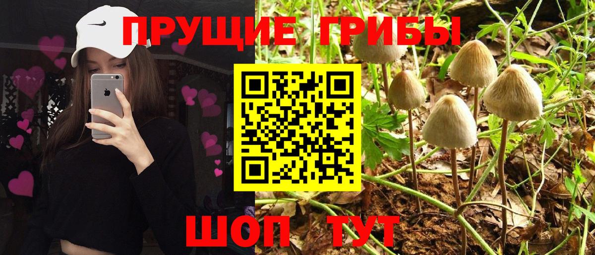 Псилоцибиновые грибы мухоморы Кудрово